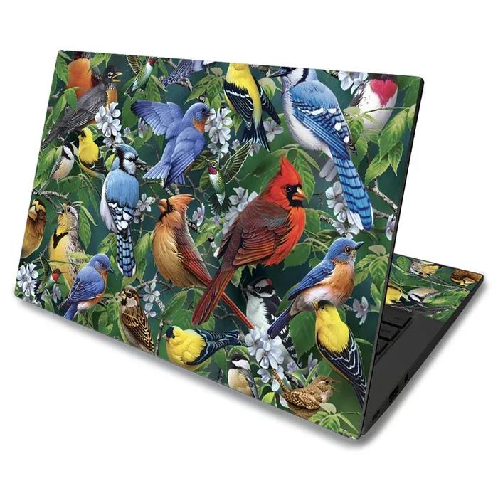 Backyard Gathering Chromebook C425 14″ (2019) Skin