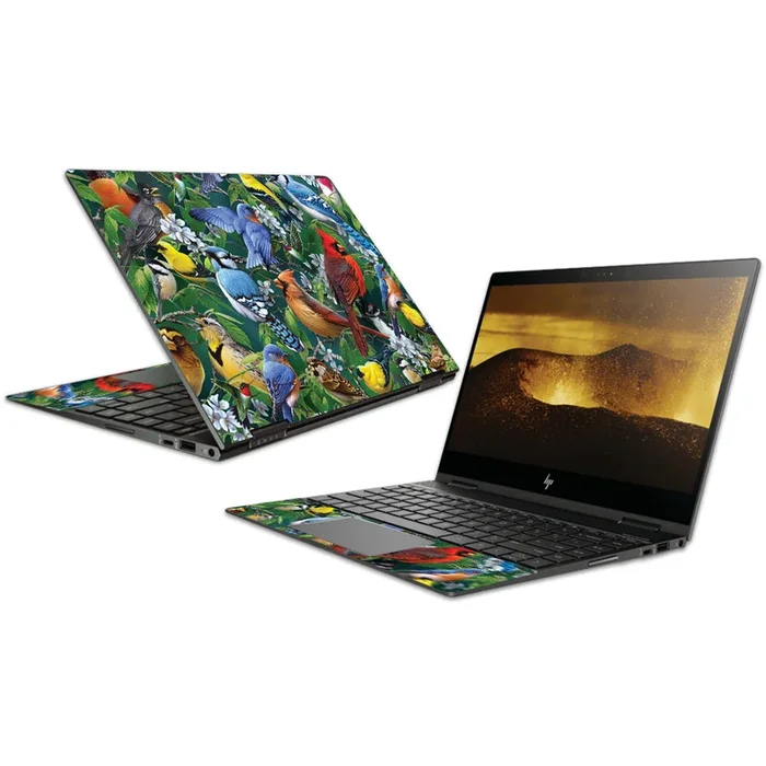 Backyard Gathering Envy x360 Convertible 13″ (2018) Skin
