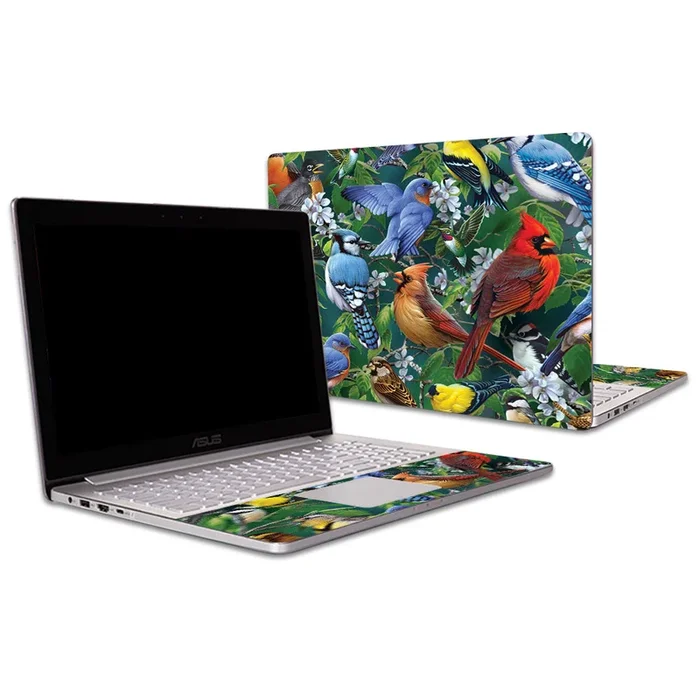 Backyard Gathering ZenBook Pro UX501VW 15.6″ (2016) Skin