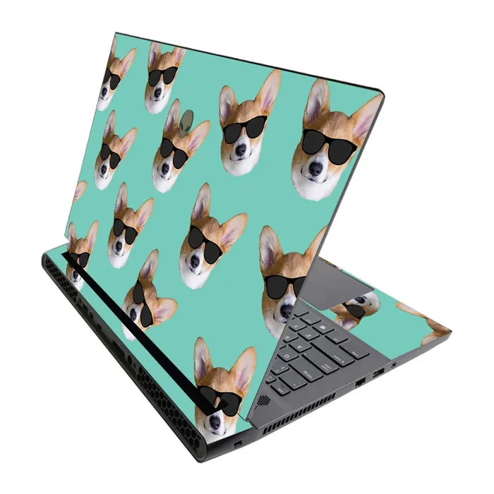 Cool Corgi M17 R3 (2020) & M17 R4 (2021) Skin