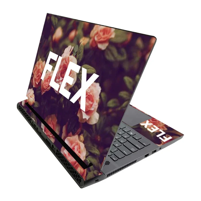 Flex M17 R3 (2020) & M17 R4 (2021) Skin