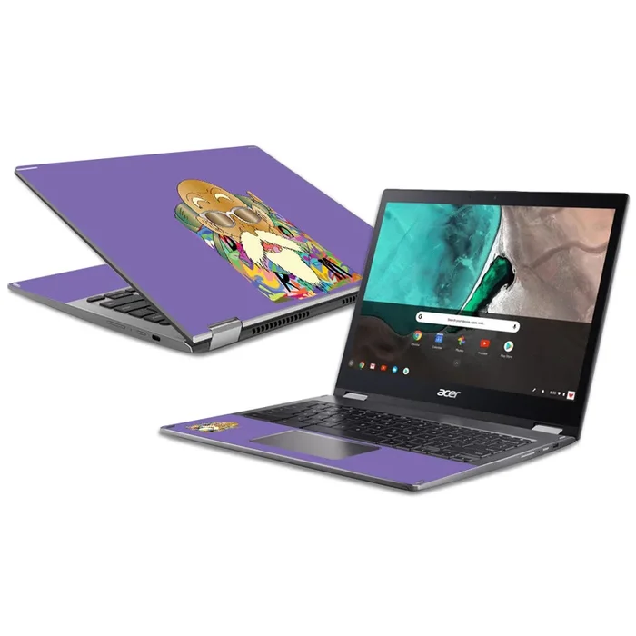 Master Turtle Chromebook Spin 13 (2018) Skin