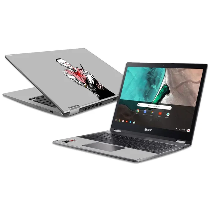 Old Boxer Chromebook Spin 13 (2018) Skin