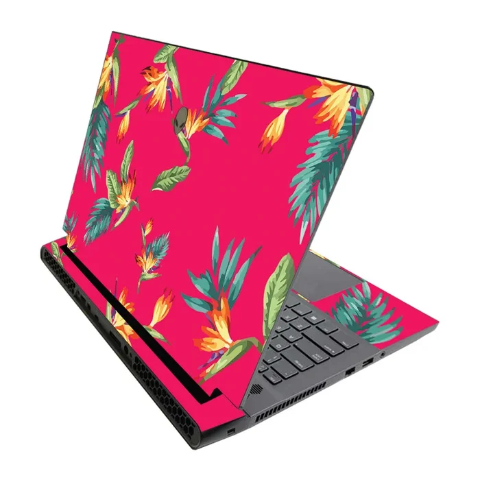 Paradise M17 R3 (2020) & M17 R4 (2021) Skin