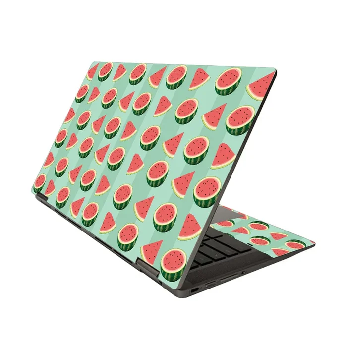 Watermelon Patch Chromebook x360 14″ (2020) Skin