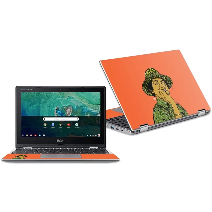 Young Barry Chromebook Spin 11″ CP311 (2018) Skin